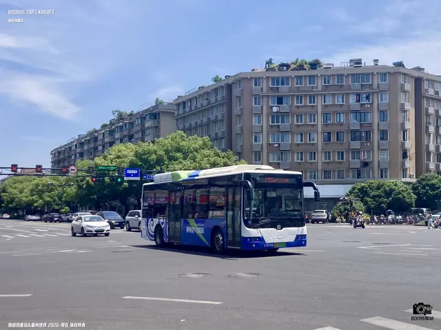 浙A 01955D