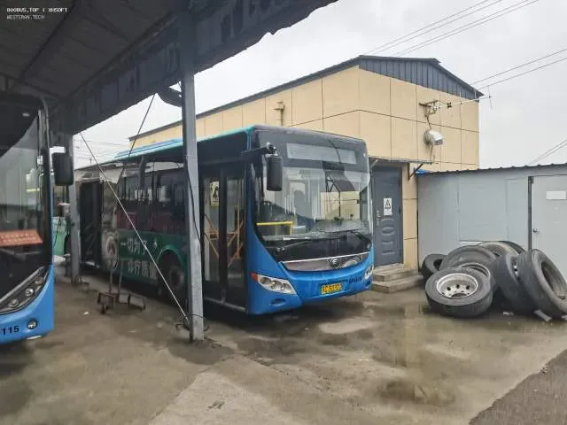 800BUS