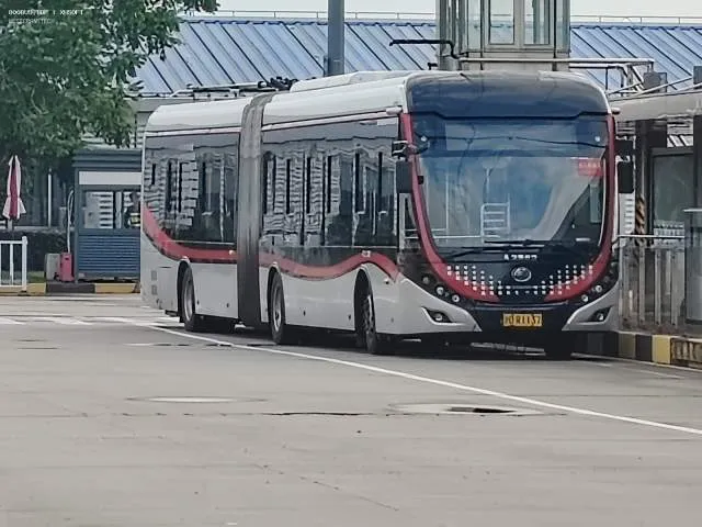 沪D R1137