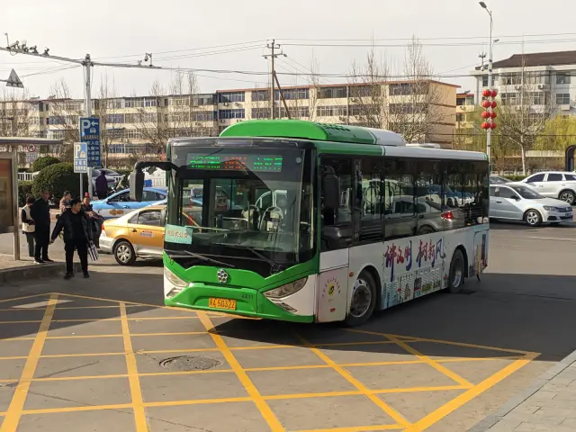 800BUS