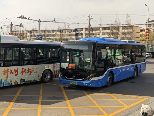 800BUS