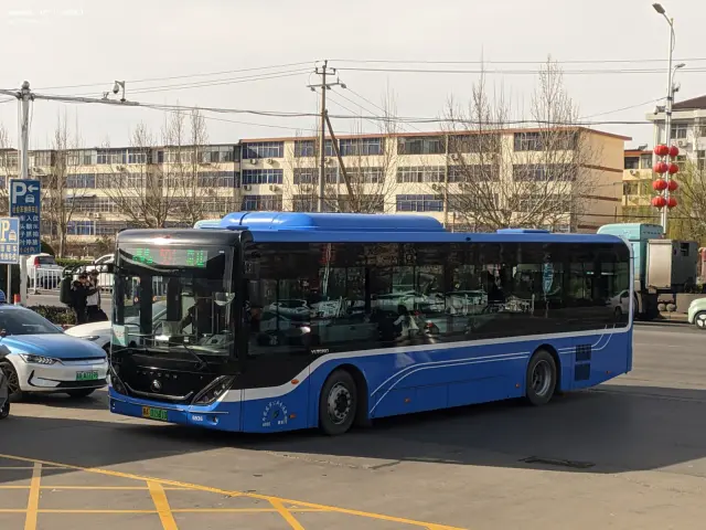 800BUS