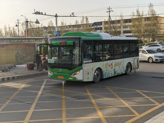 800BUS