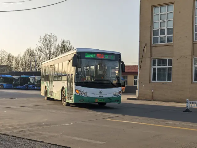 800BUS