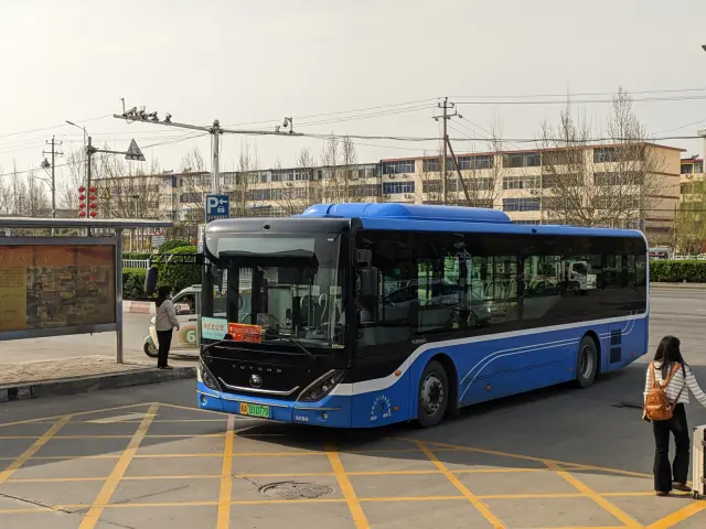 800BUS