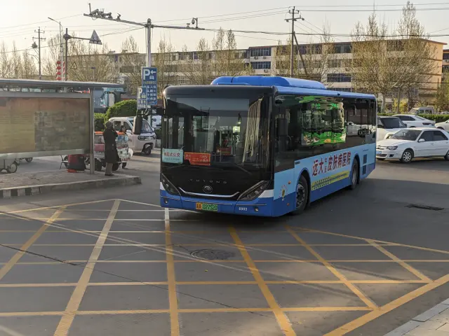 800BUS