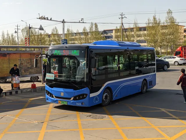 800BUS