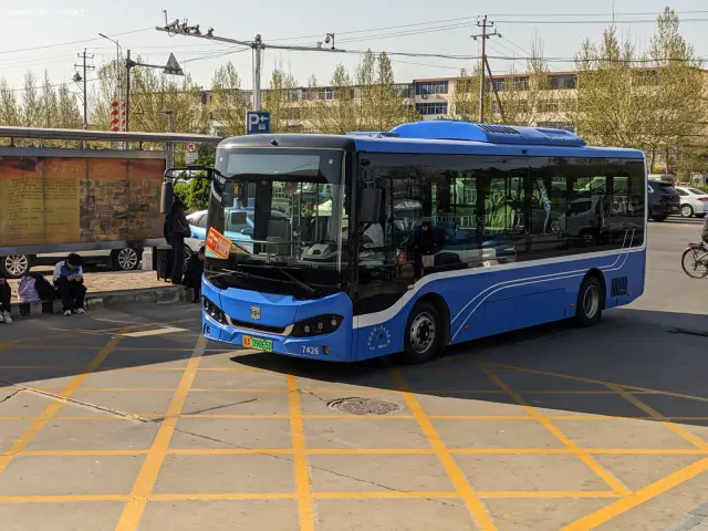 800BUS
