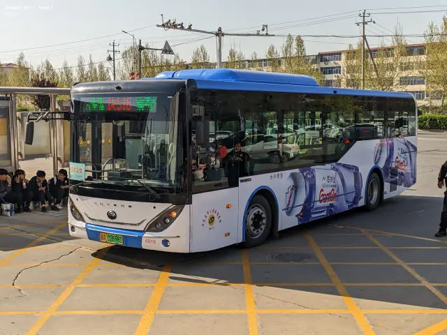 800BUS