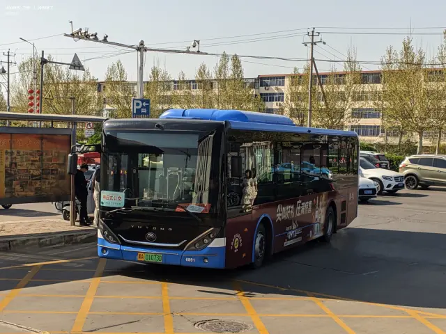 800BUS