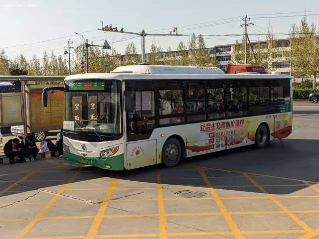 800BUS