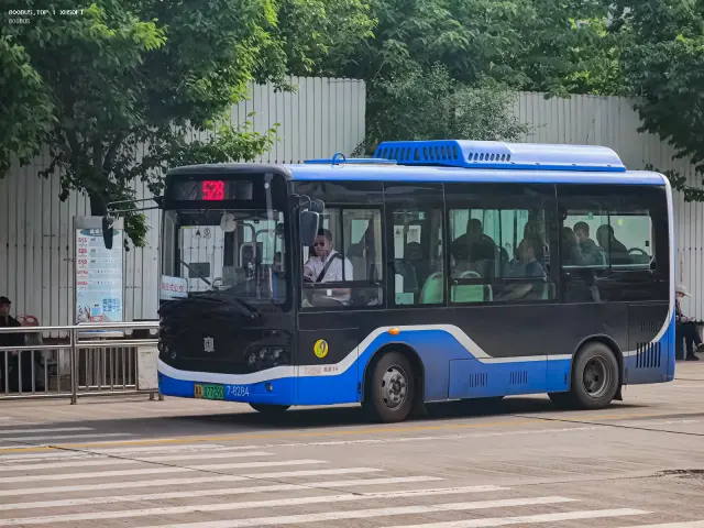 800BUS