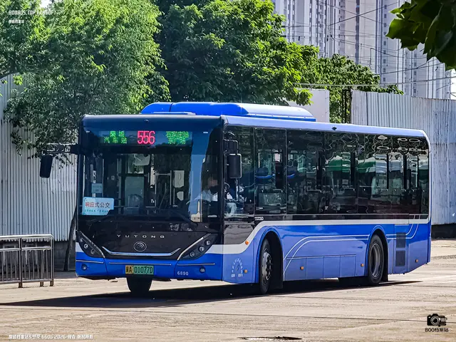 800BUS