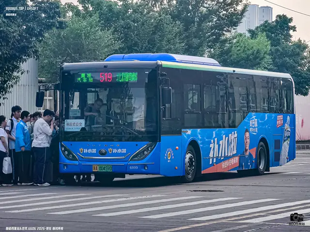 800BUS