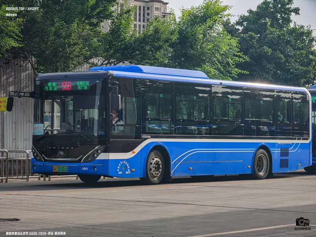 800BUS