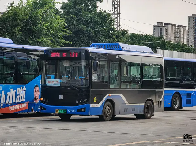 800BUS