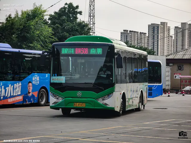 800BUS