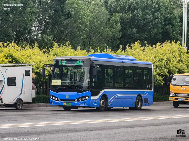 800BUS