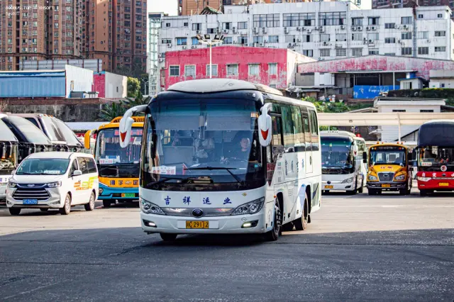 800BUS