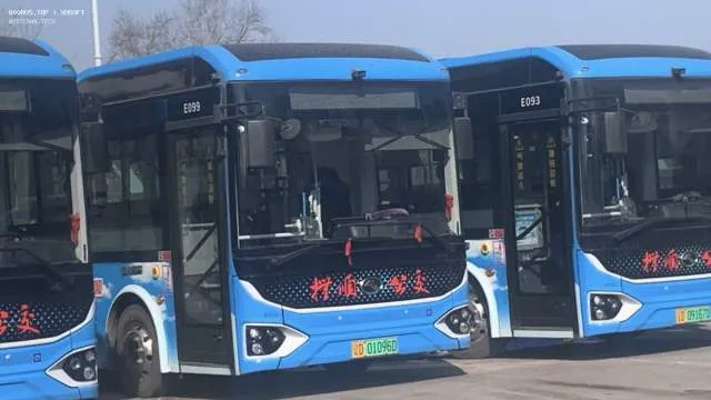 800BUS