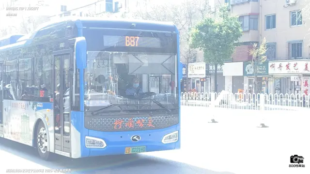 800BUS