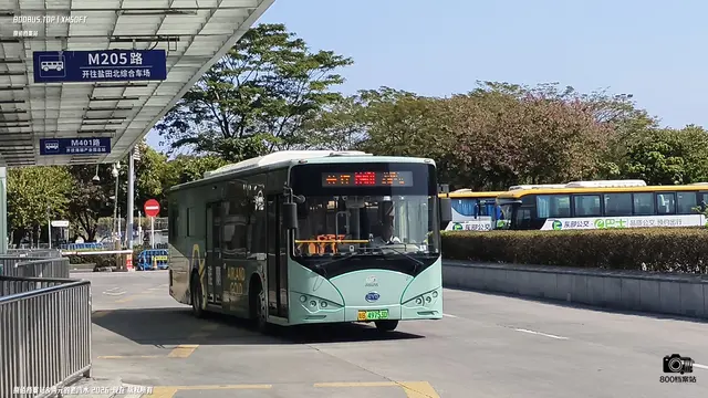 800BUS