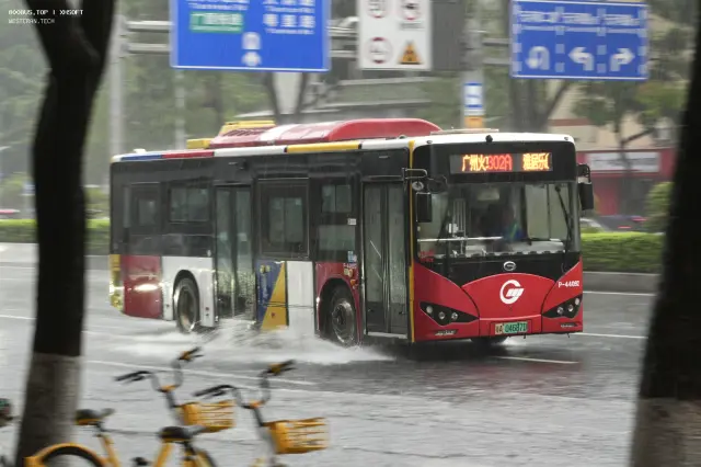 800BUS