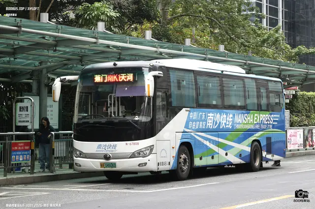 800BUS
