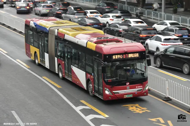 800BUS