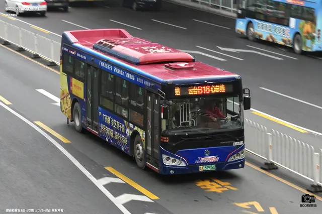 800BUS