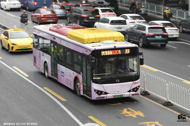 800BUS