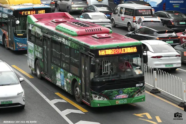 800BUS
