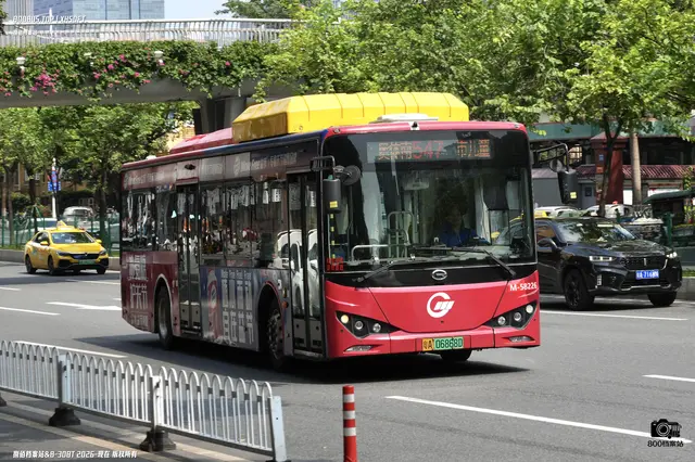 800BUS