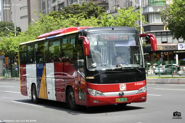 800BUS