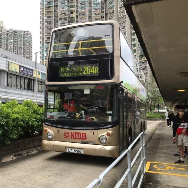 800BUS