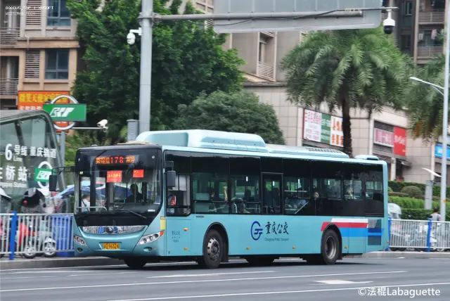 渝D96324