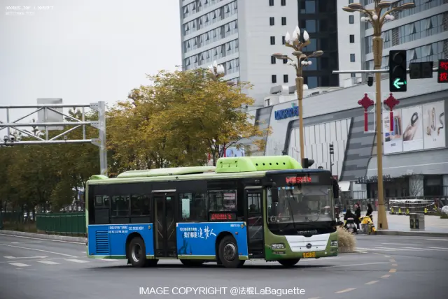 渝BW3103