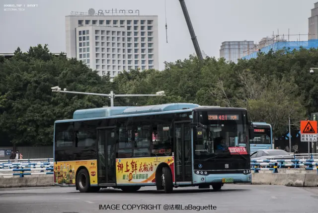 渝A19293D