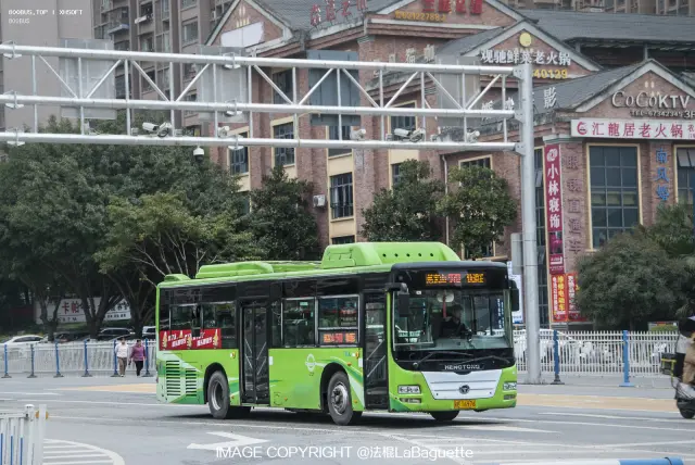 渝BT6976