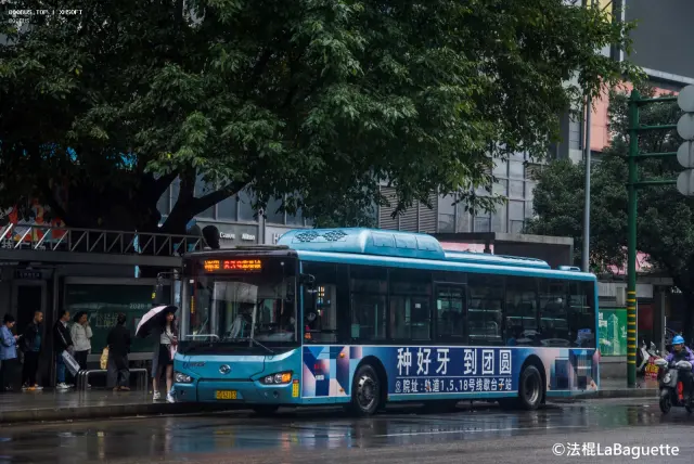 渝D 52103