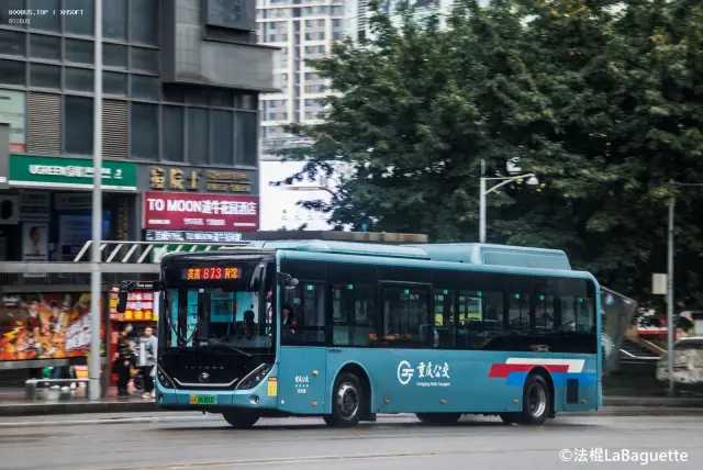 800BUS