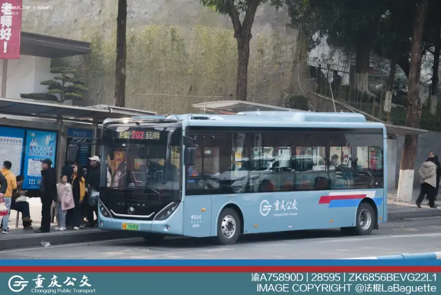 800BUS
