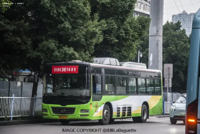 渝BQ6573