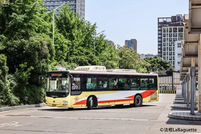 800BUS