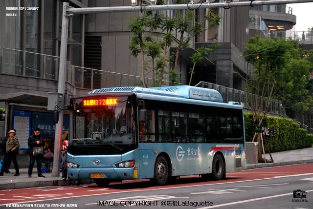 渝D 52250