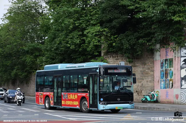 800BUS