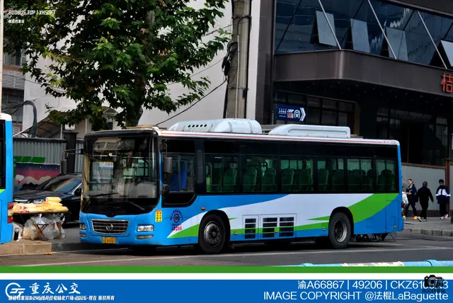 800BUS
