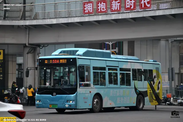 800BUS