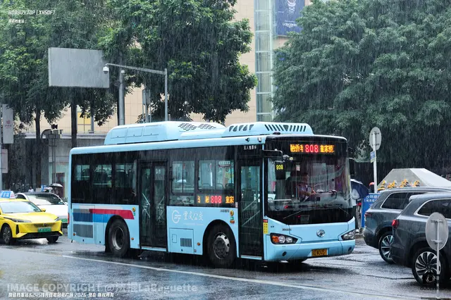 800BUS