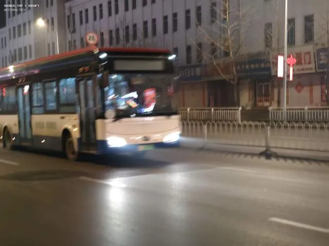 800BUS